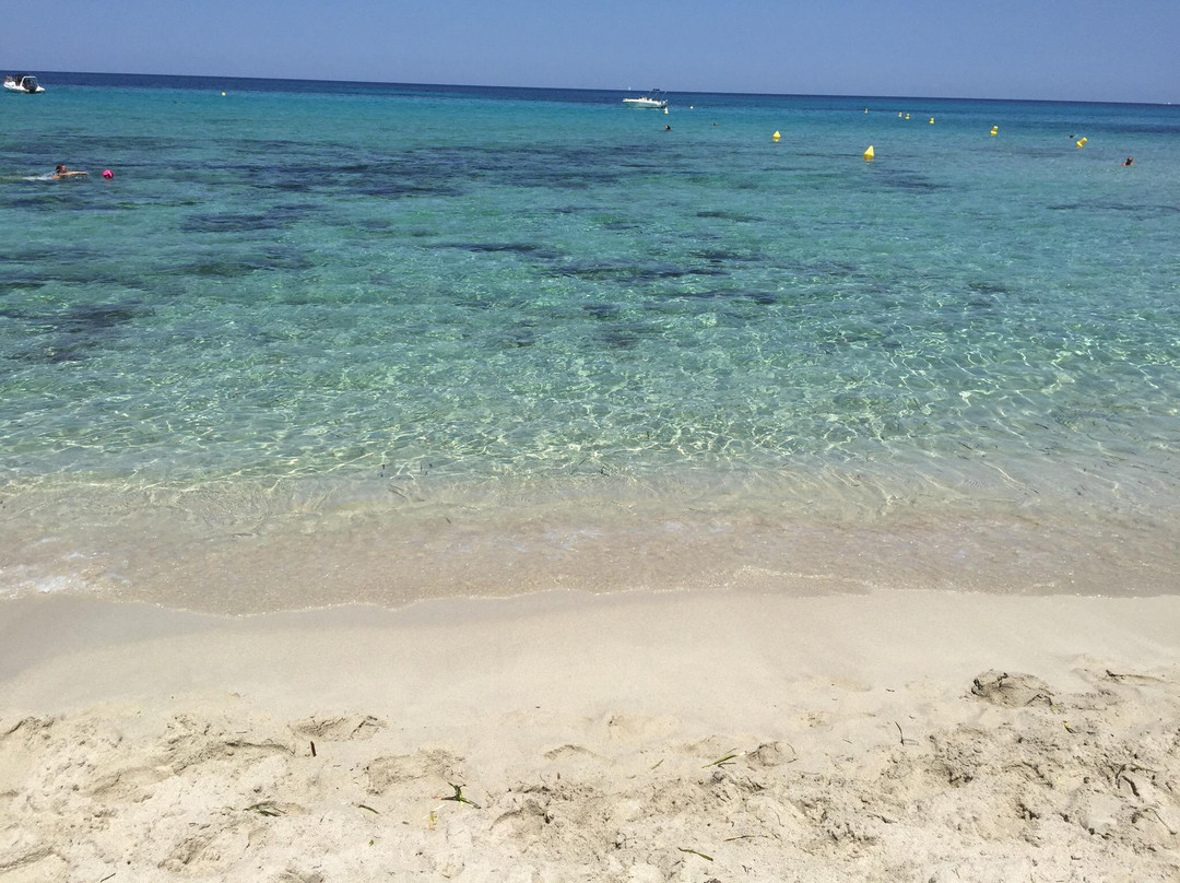 Plage de Ghjunchitu-Corbara必去景点