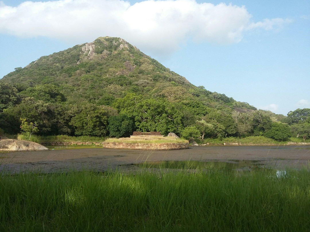 Kalu Diya Pokuna Natural Black Water Pond景点图片