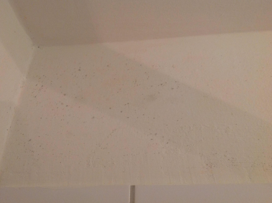 Hotel Blaues Haus主图