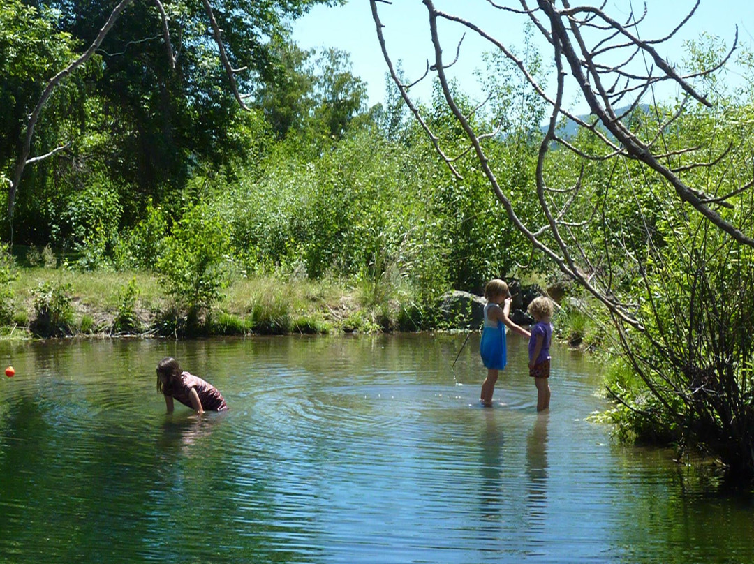 Hagelstein Park-克拉马斯福尔斯必去景点