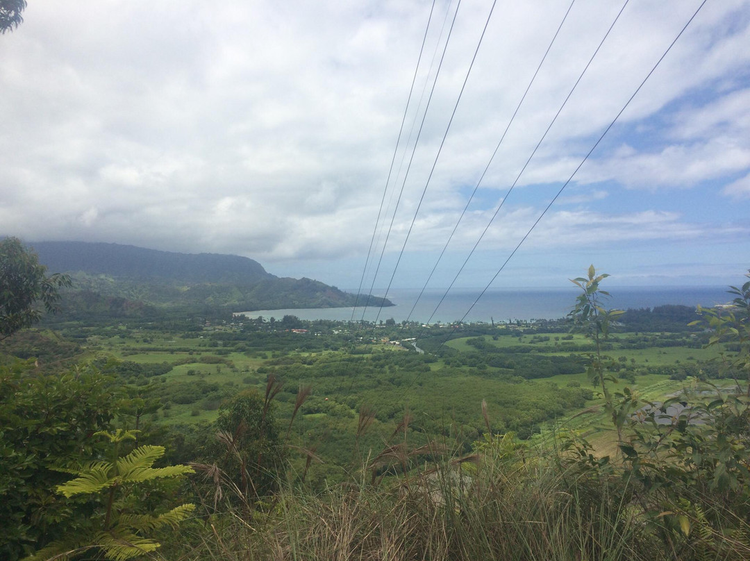 Okolehao Trail-哈纳雷伊必去景点