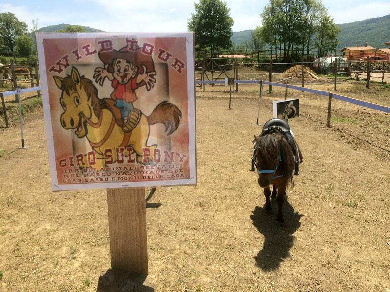 Margarete Horse Ranch景点图片