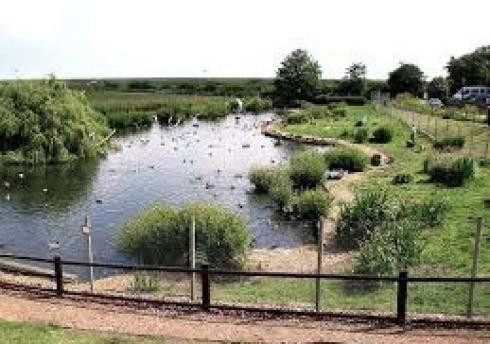 Blakeney Conservation Duck Pond景点图片