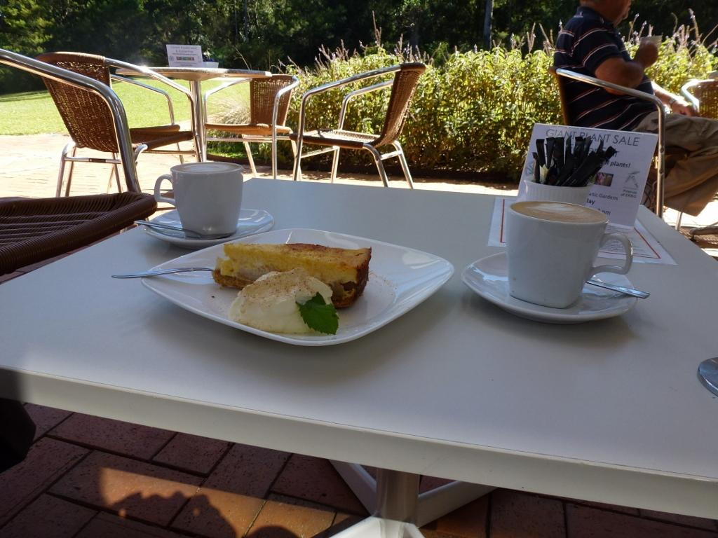 Eurobodalla Regional Botanic Gardens景点图片