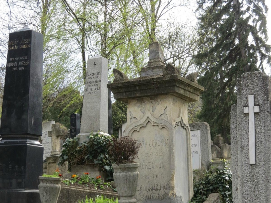 Cimitirul Central景点图片