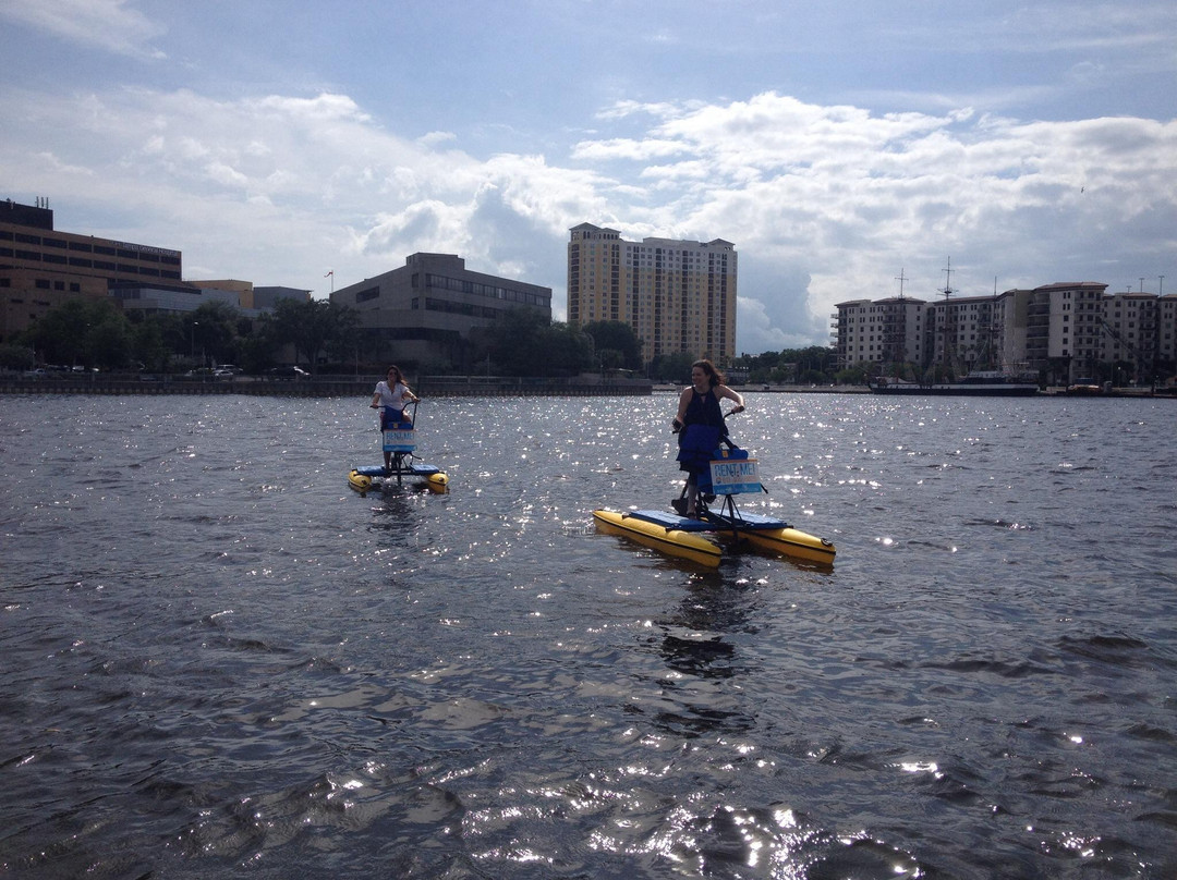 Tampa Bay Water Bike Company-坦帕必去景点