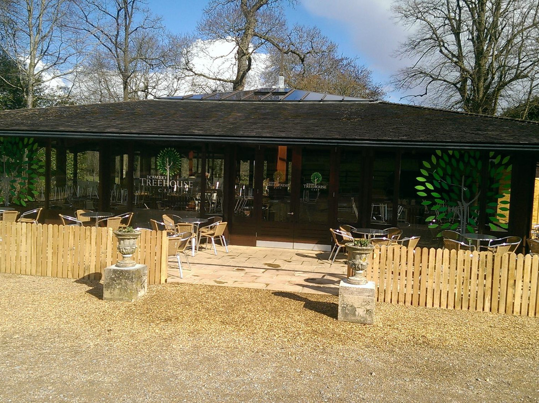 Derry Hill餐馆和美食-The Treehouse Café