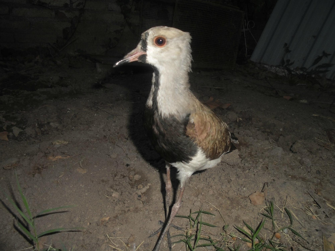 Hostel Rogupani主图