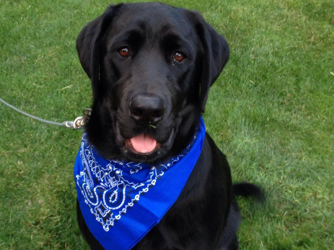 Lollypop Farm, Humane Society of Greater Rochester-Fairport必去景点