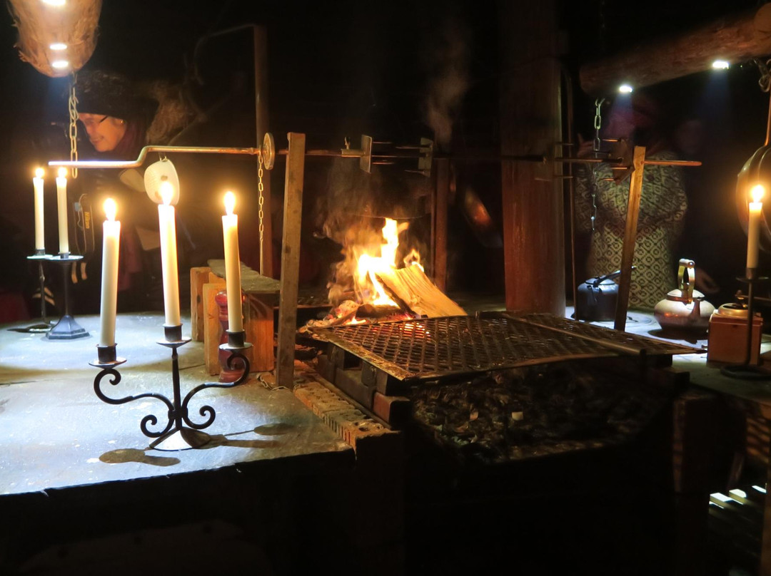 Northern Lights Husky Day Tours-阿尔塔必去景点