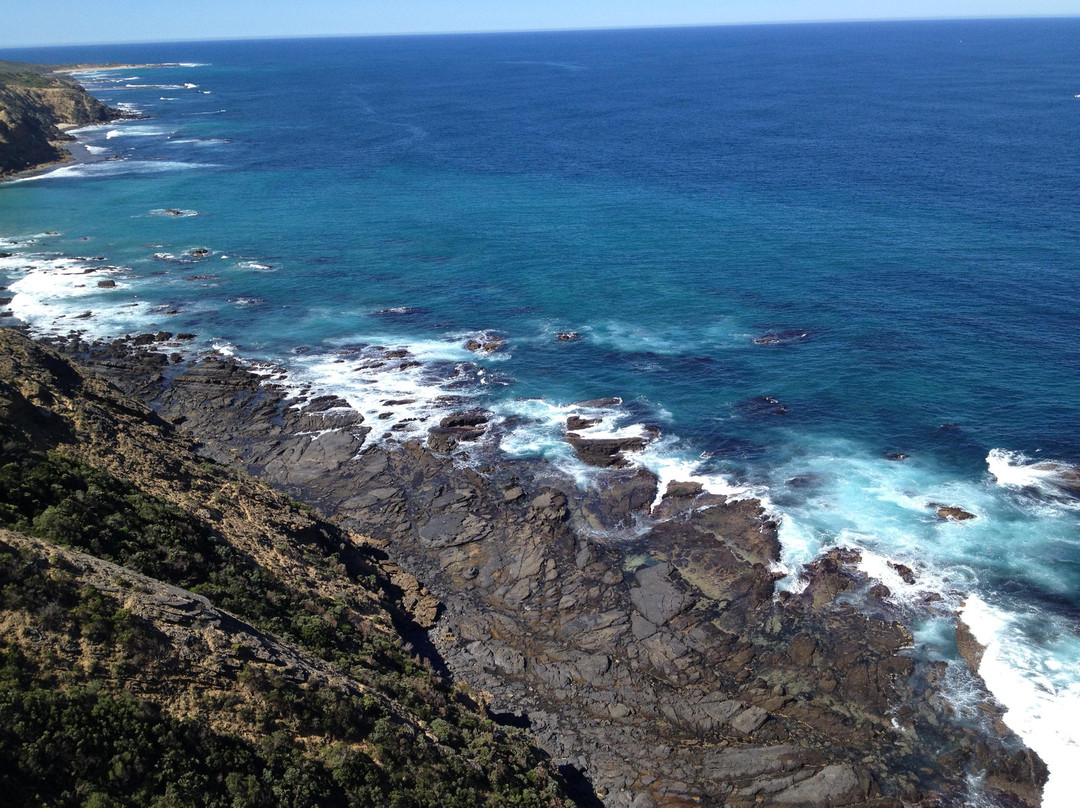 Cape Otway旅游攻略图片