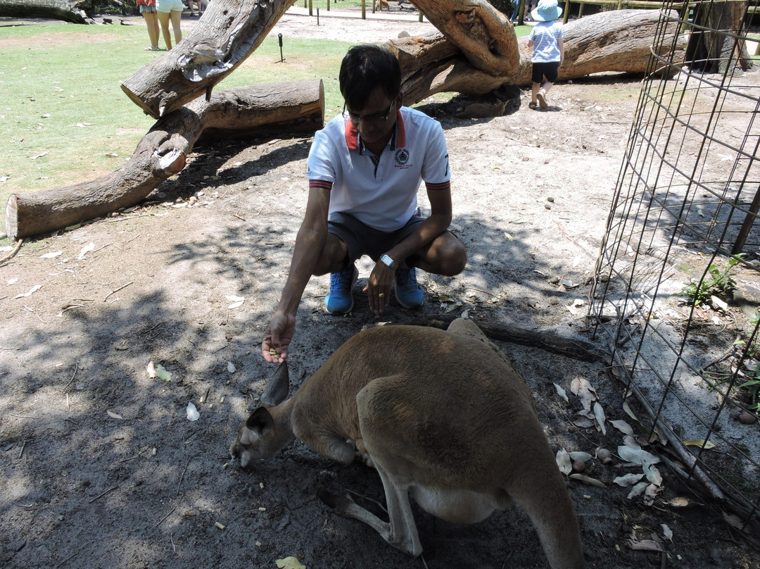 Caversham Wildlife Park景点图片