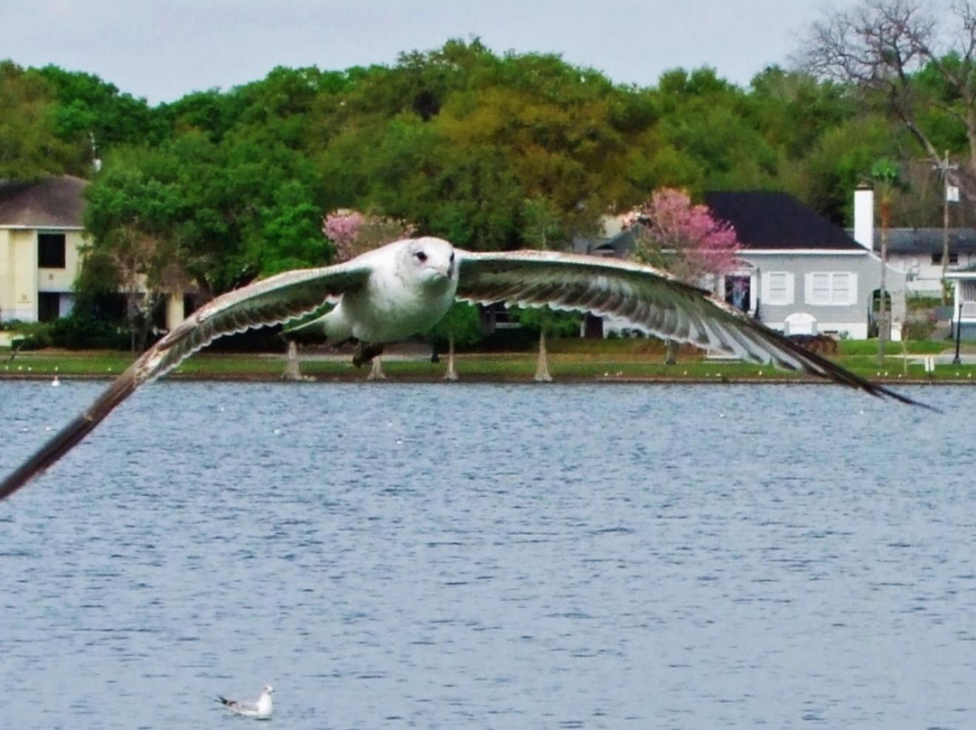 Lake Morton-莱克兰必去景点