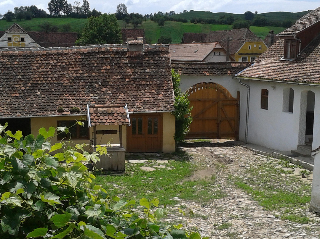 Convivium Transilvania