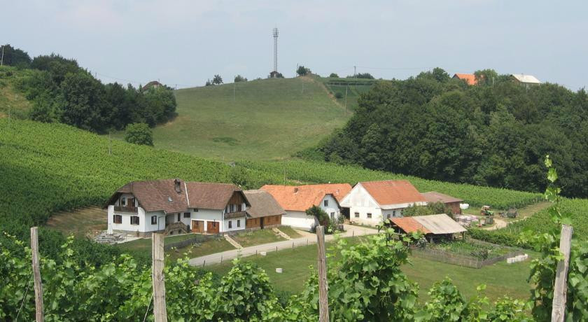 Destrnik旅游攻略图片