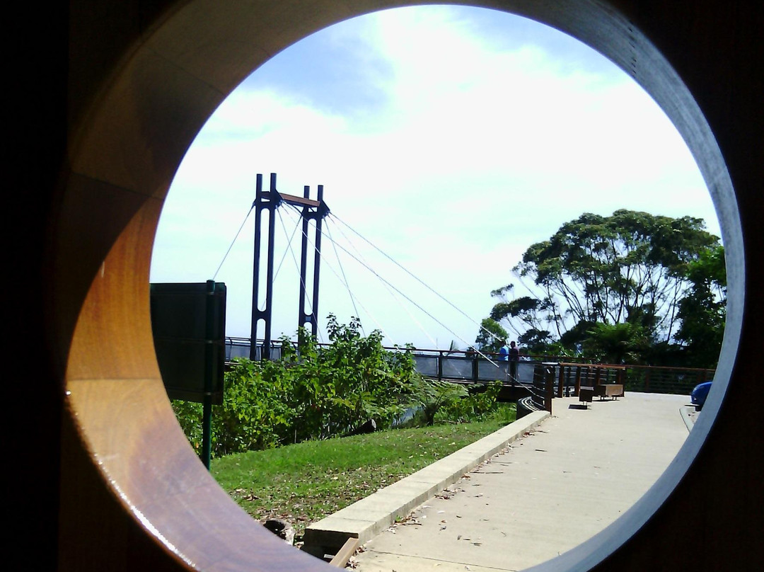 Bruxner Park Flora Reserve景点图片