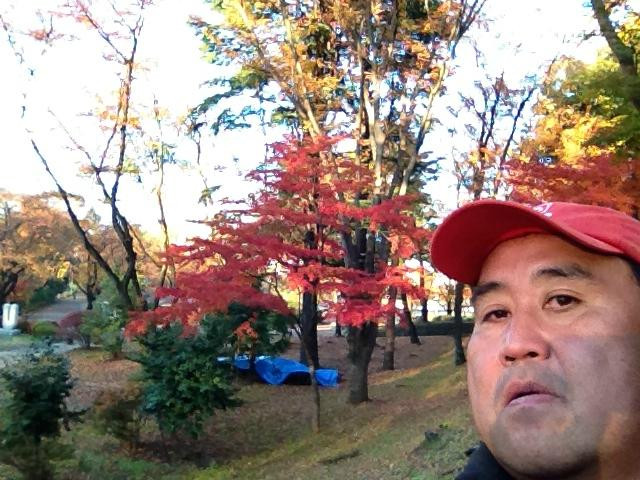 Fujimori Park-八王子市必去景点