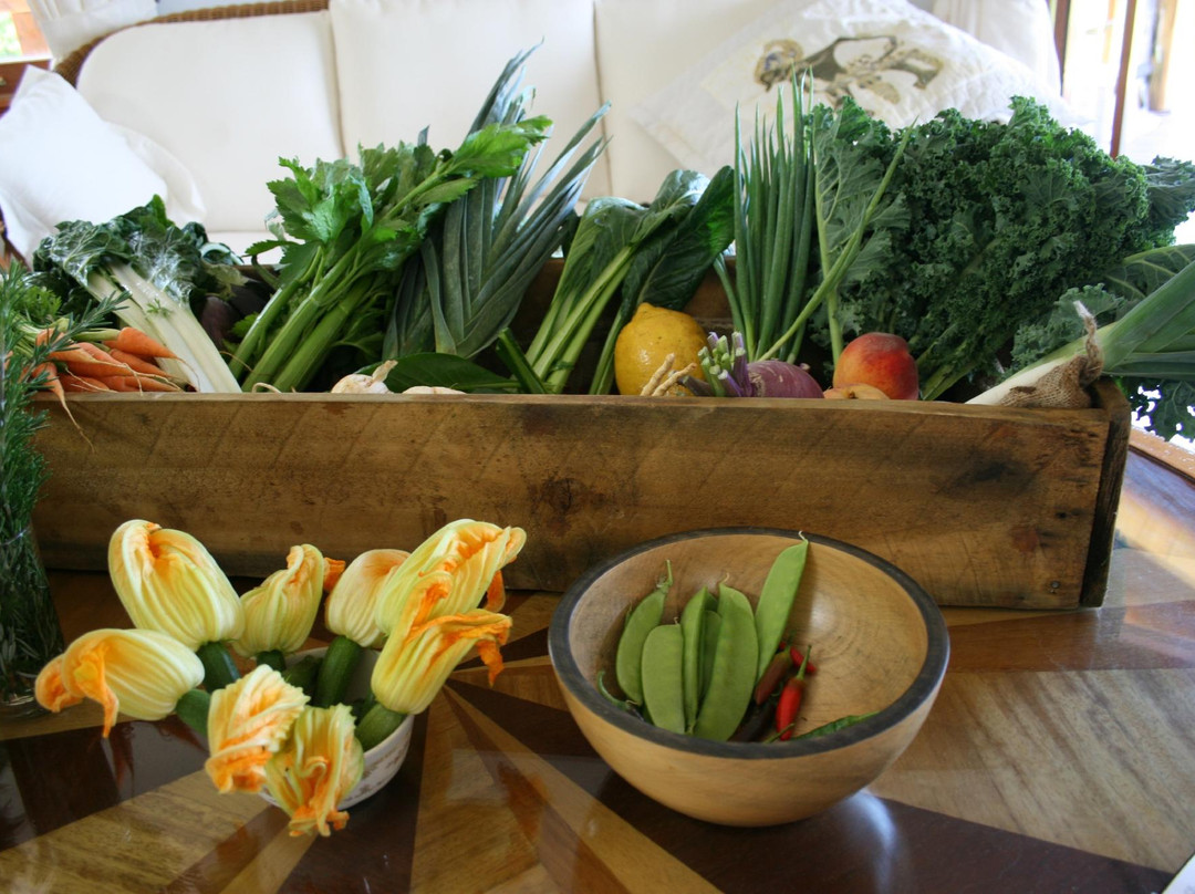 Hilli Mastering Taste Tour-诺福克岛必去景点