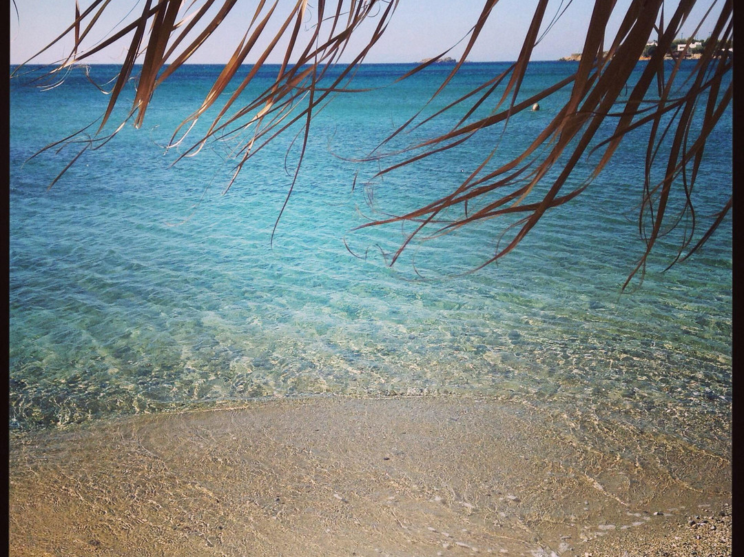 Lagonisi Beach-Lagonisi必去景点