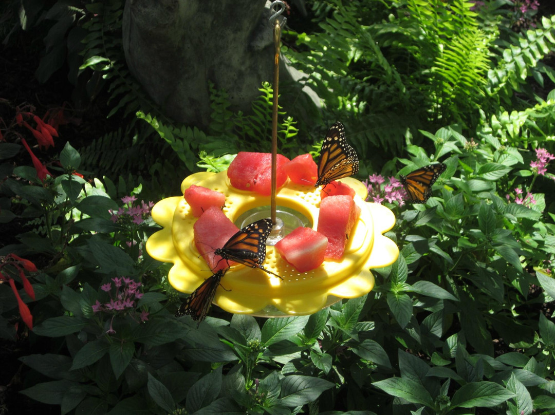 Creekside Gardens-Tunkhannock必去景点