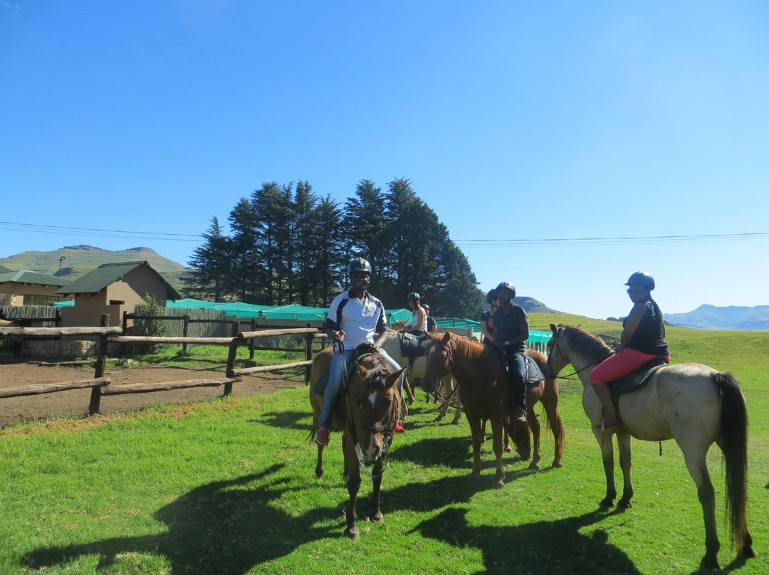 Boyang Gape Tours and Travel - Day Tours景点图片