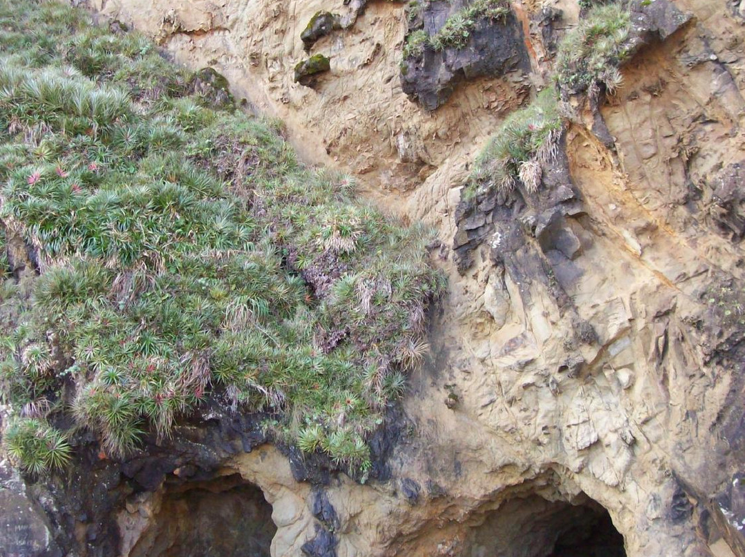 Cavernas y cueva del toro景点图片