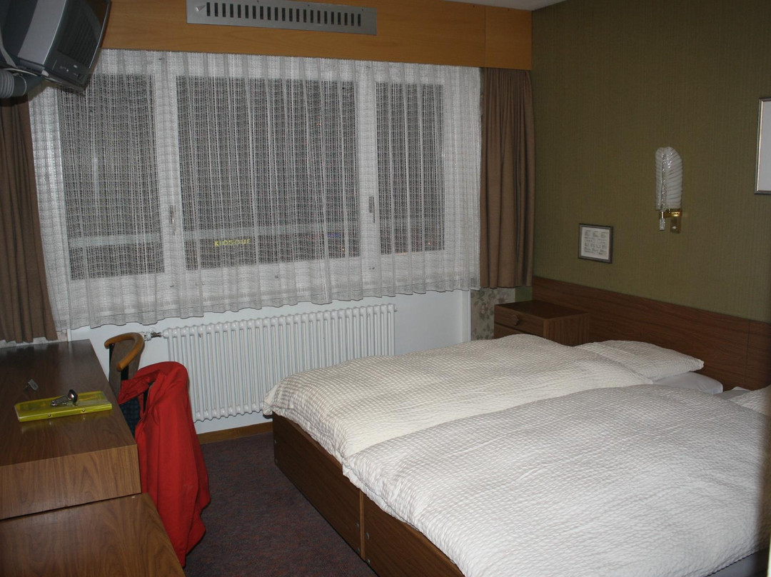 Hotel Alpes & Rhone主图