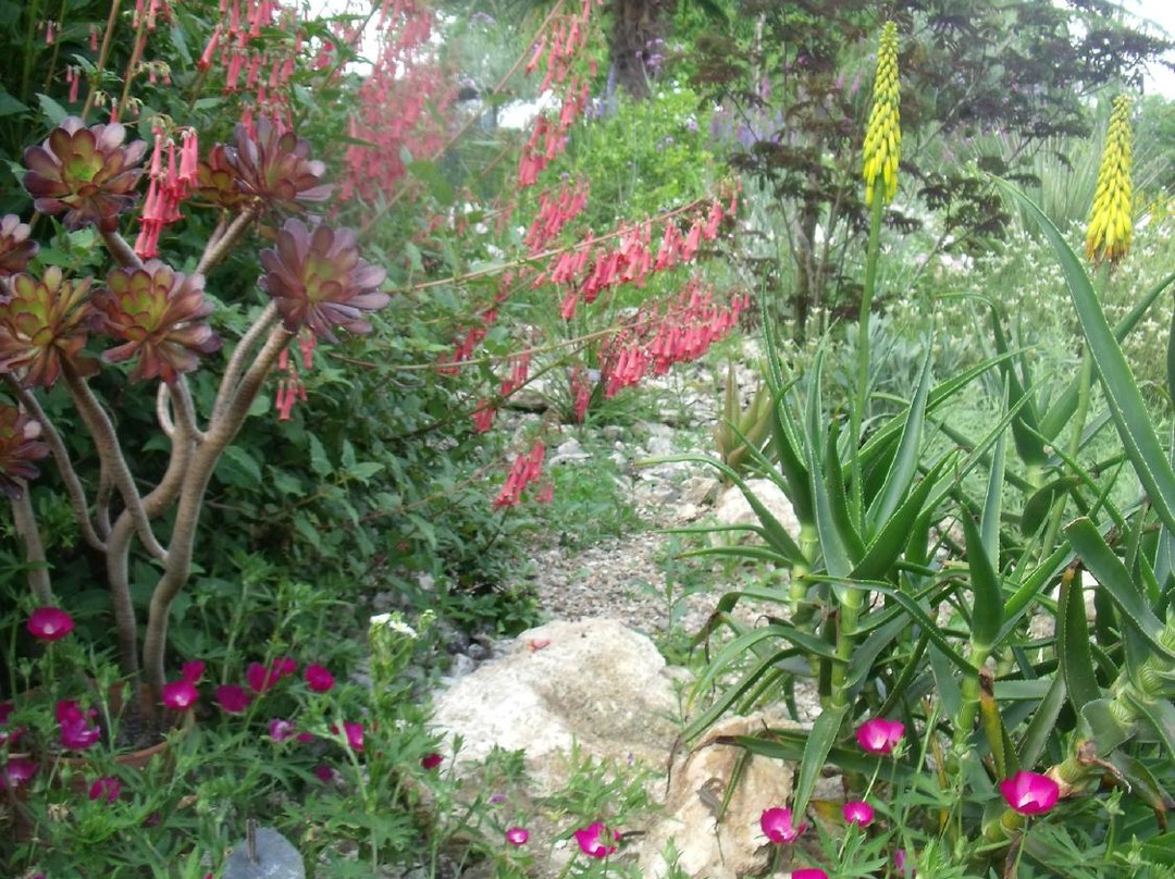 Le Jardin de Saint Avit景点图片