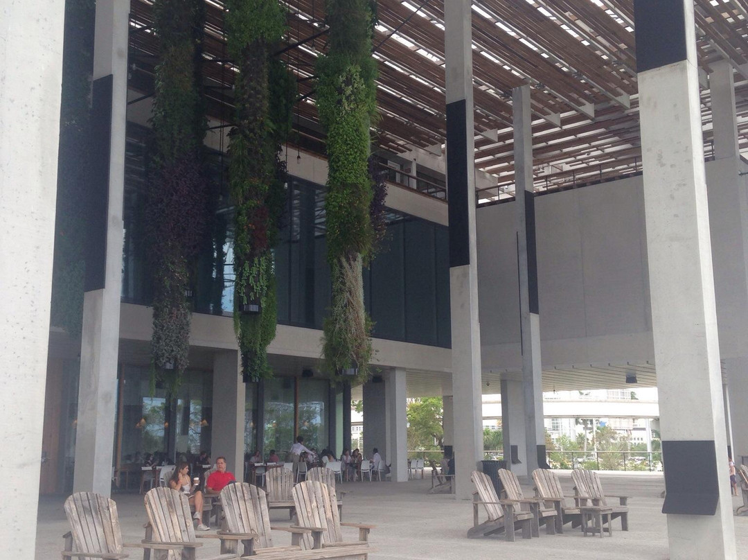 迈阿密佩雷兹美术馆-迈阿密必去景点