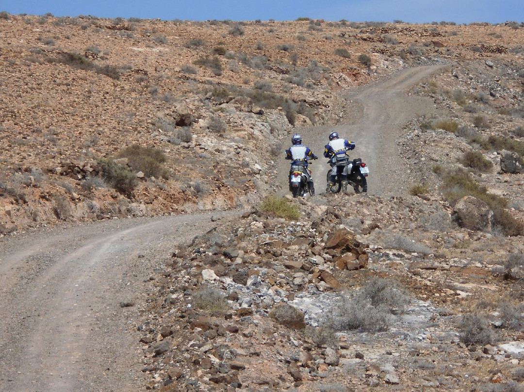 Backtrax Off Road Motorcycle Tours景点图片