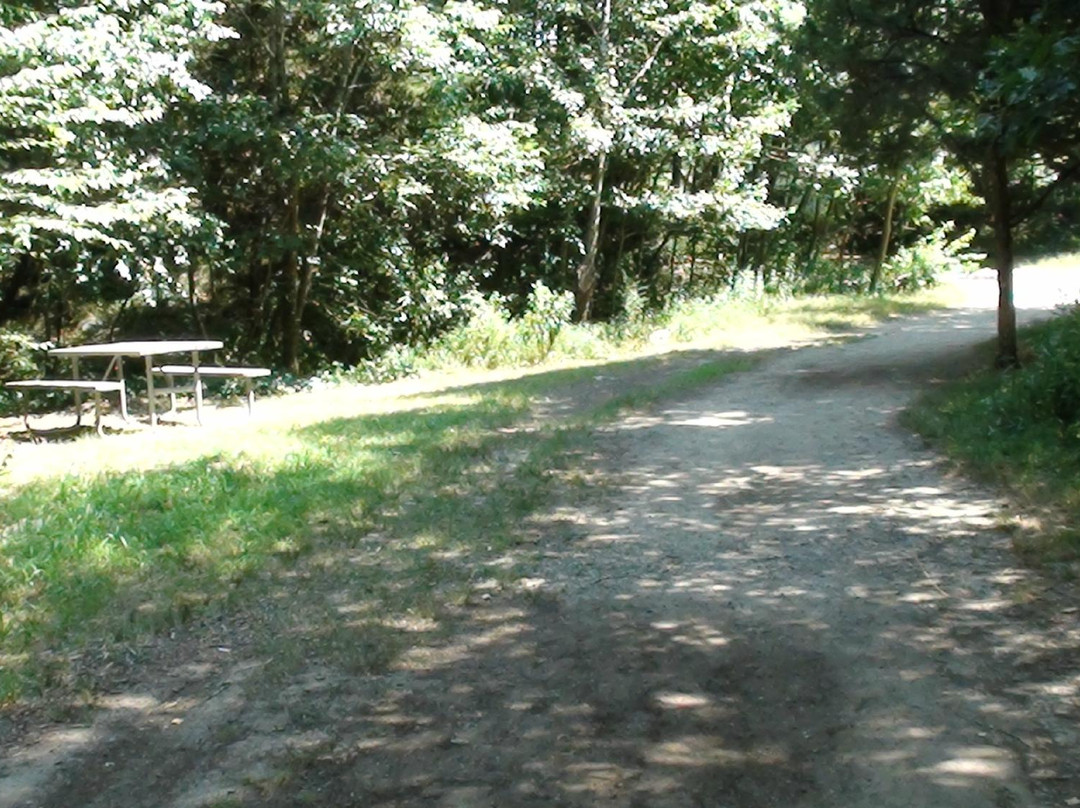 Central Bark Dog Park-格罗顿必去景点