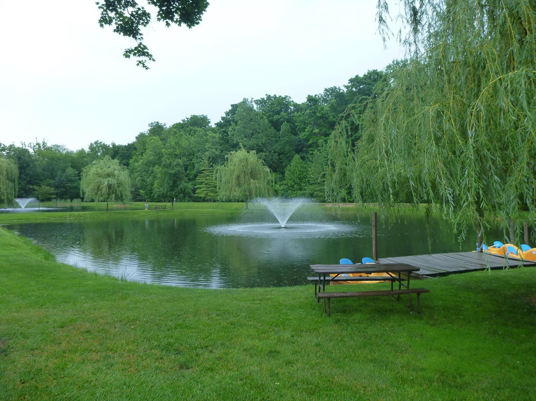 Dayton Koa