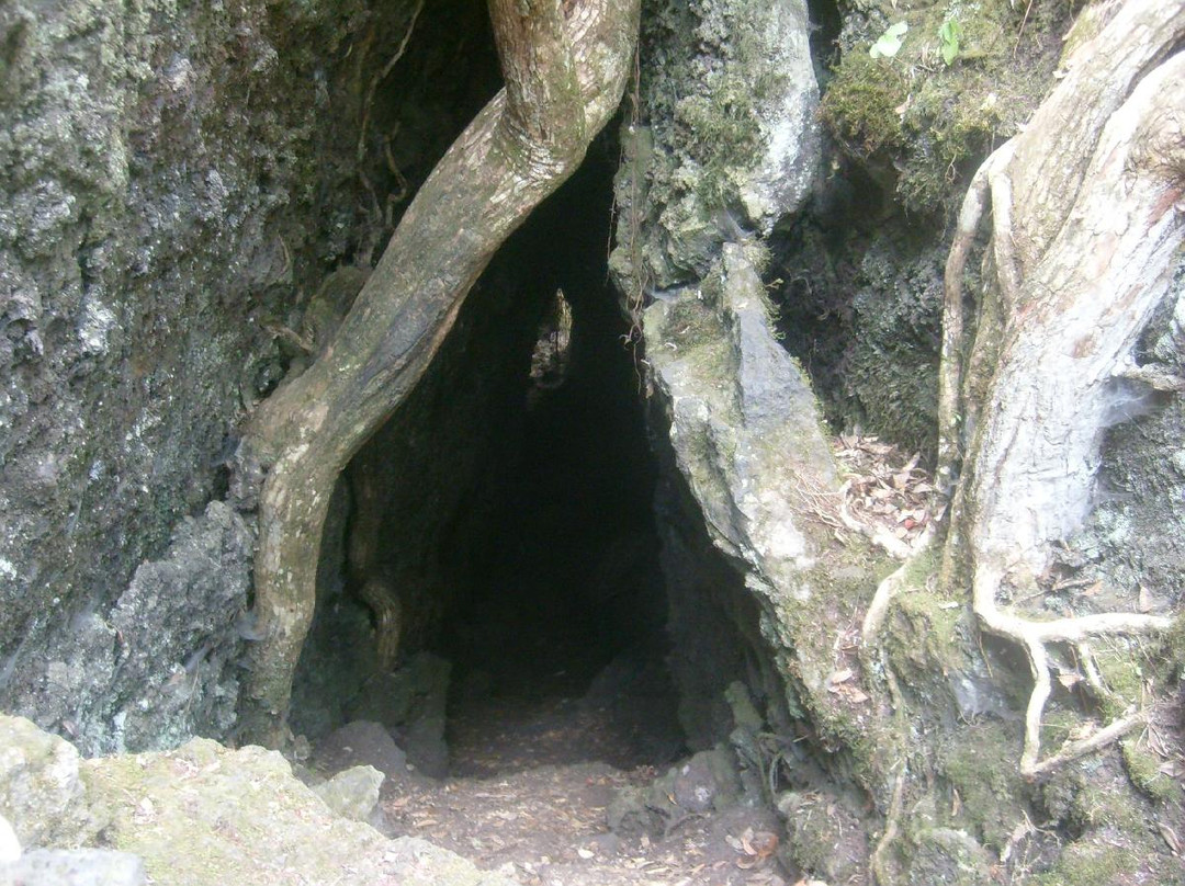 朗伊托托岛-奥克兰中心地区必去景点