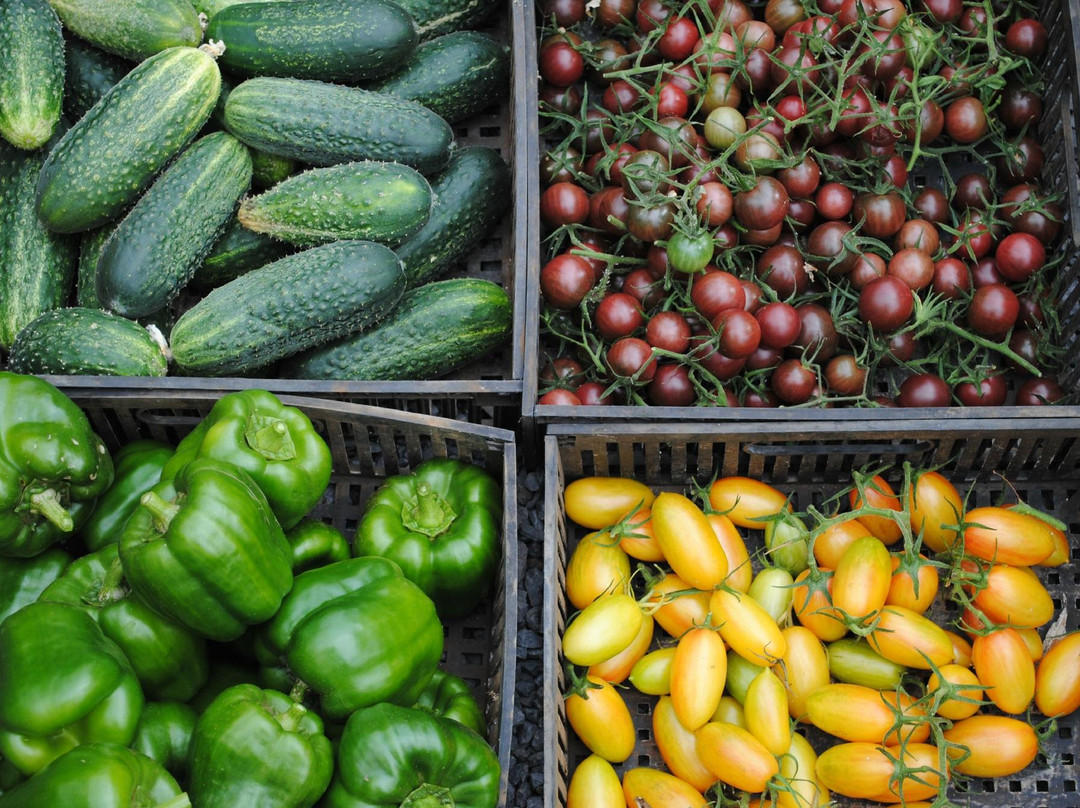 Kupa'a Farms-库拉必去景点