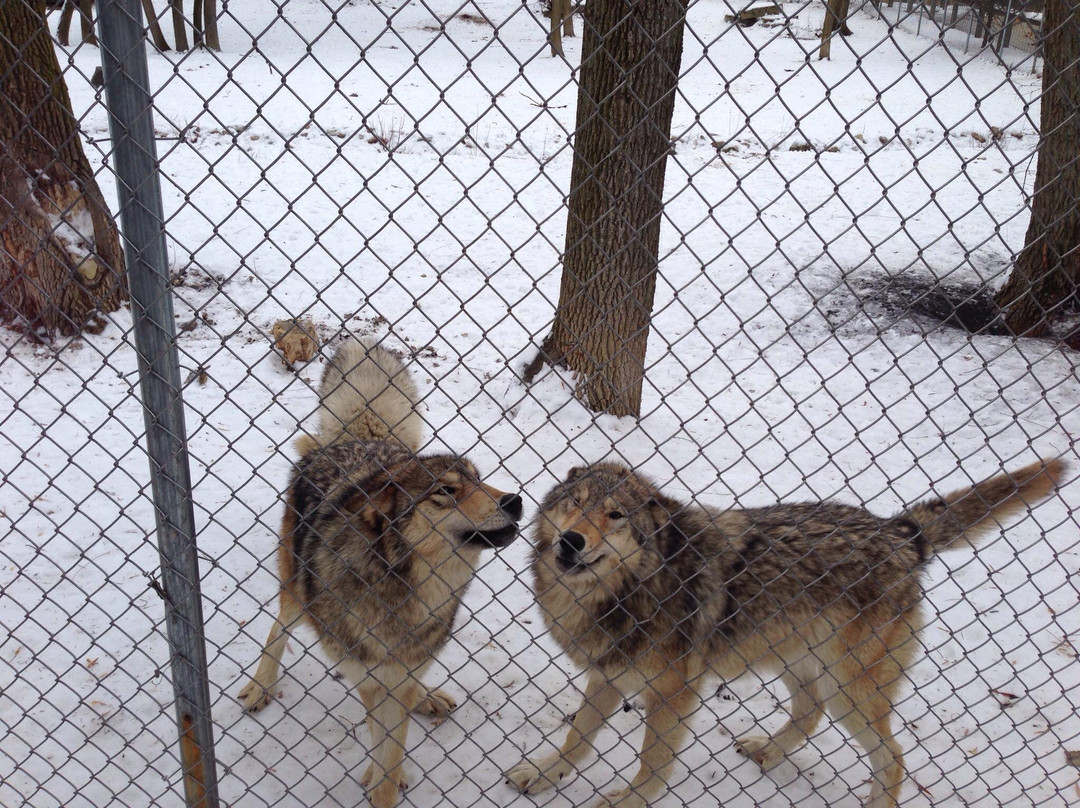 Bay Beach Wildlife Sanctuary-格林贝必去景点