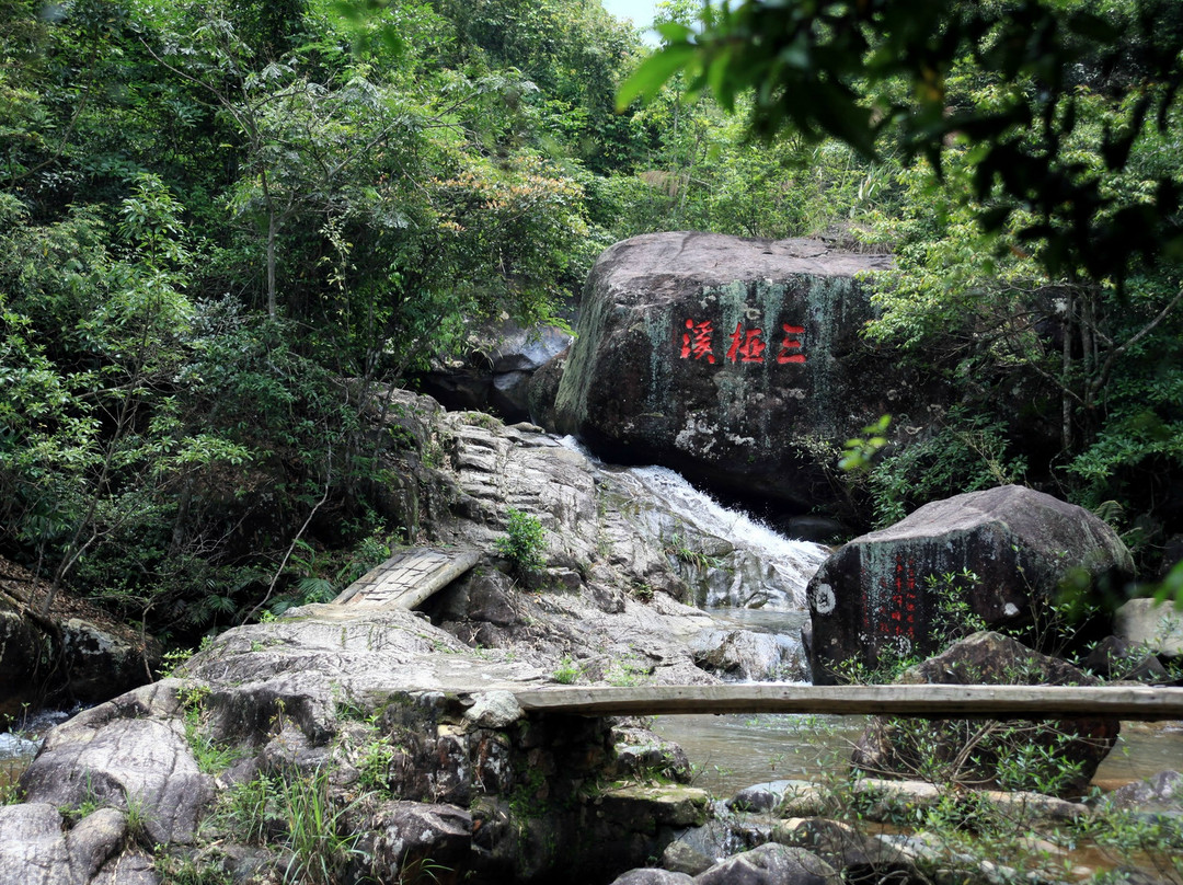 流溪河森林公园-从化市必去景点