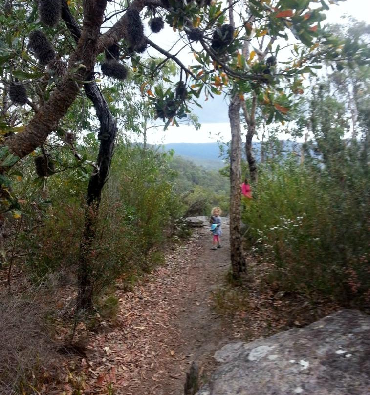 Muogamarra Nature Reserve景点图片