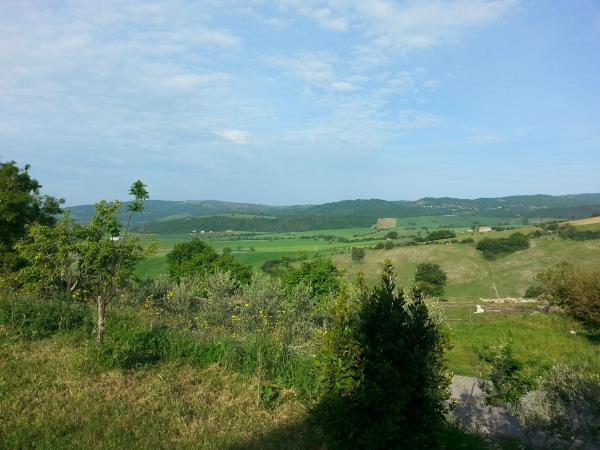 Agriturismo Fattoria Etrusca-客卧