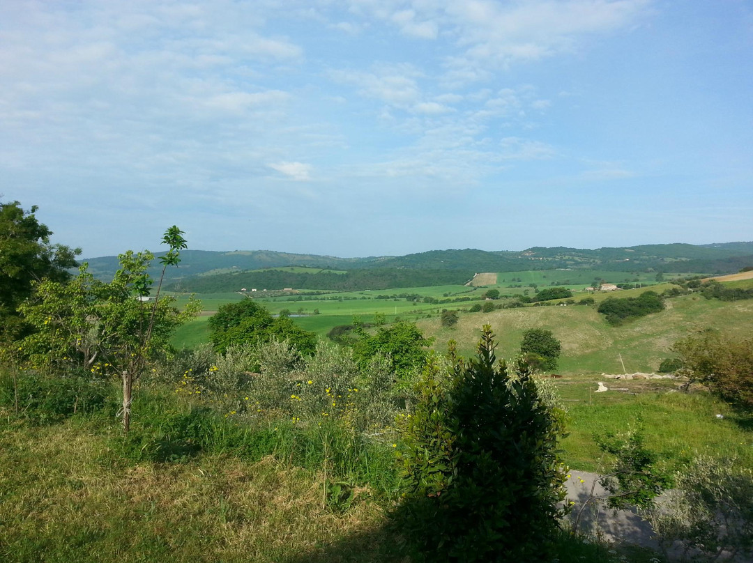 Agriturismo Fattoria Etrusca主图