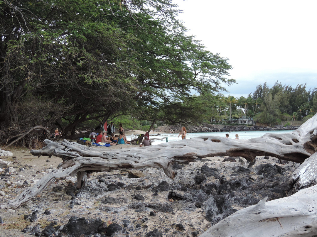 Puako Bay-普阿克必去景点