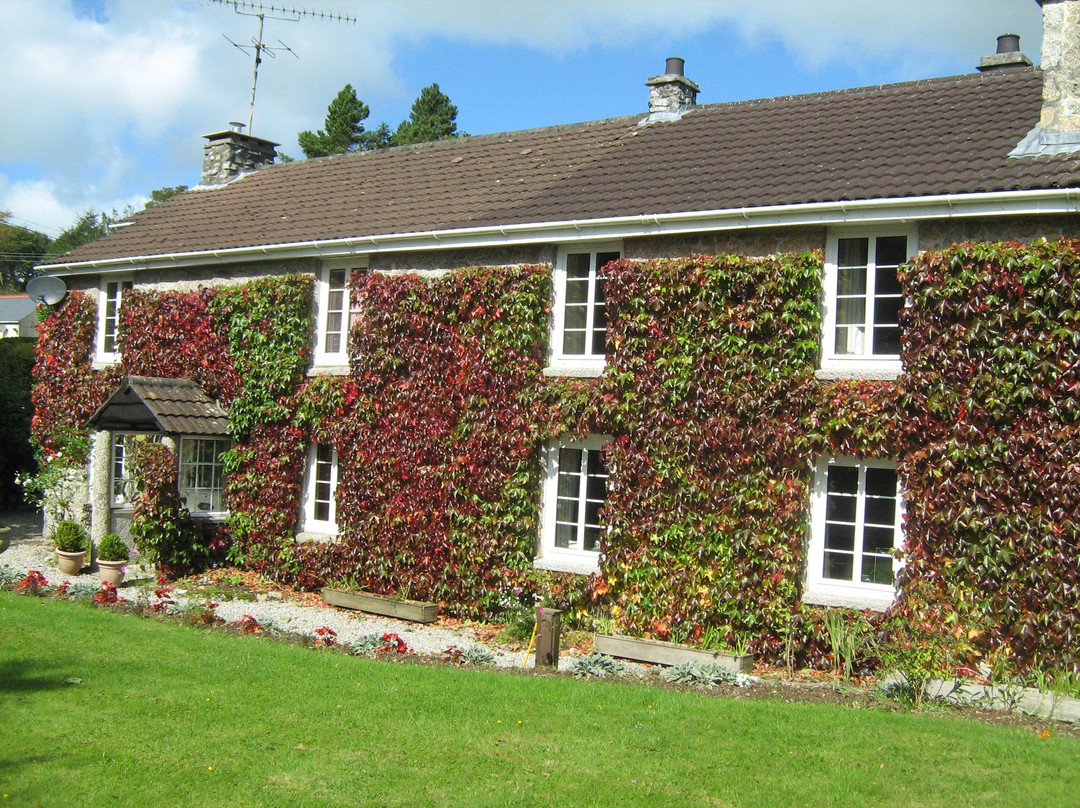 Rescorla酒店住宿-Ivy Cottage B & B