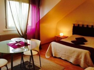 Chambres d'Hotes Ursula-客卧