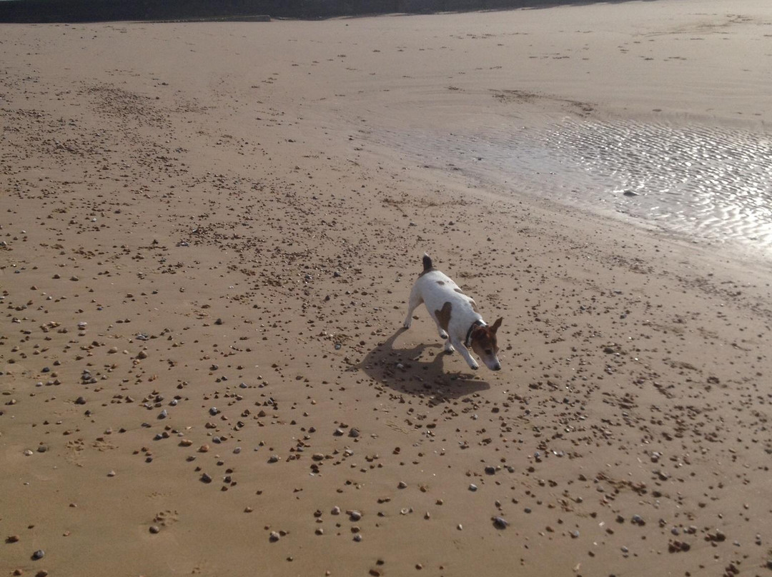 Dymchurch Beach景点图片