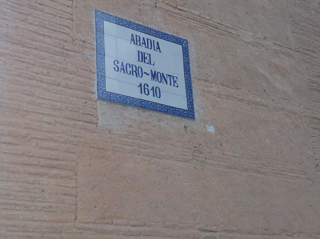 Abadia del Sacromonte景点图片