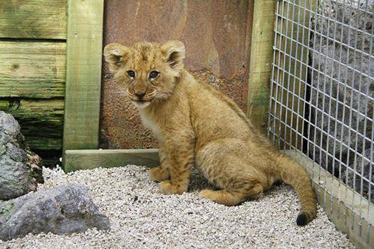 天堂谷温泉野生动物园-罗托鲁瓦必去景点