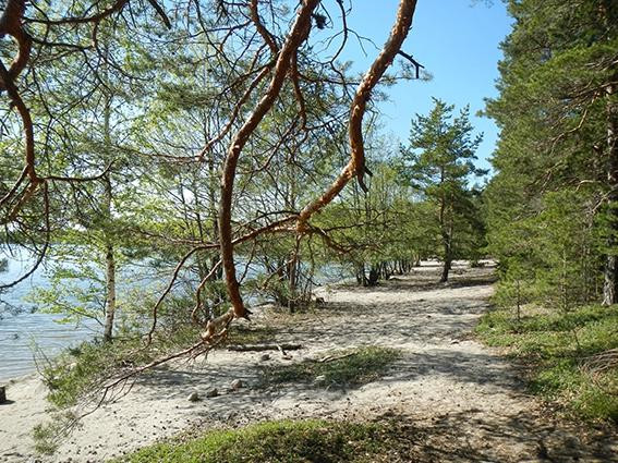 Kelvenne Trail-Padasjoki必去景点