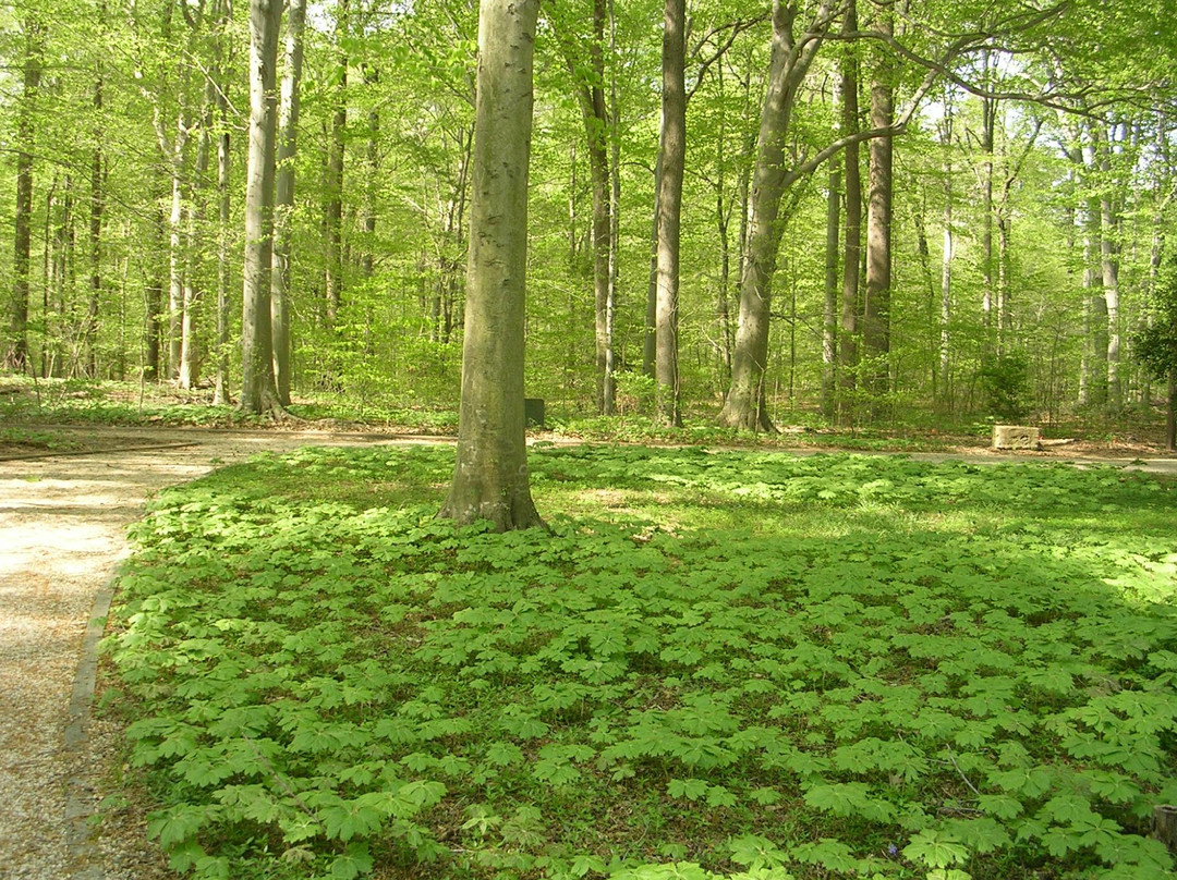 Pickering Creek Audubon Center景点图片