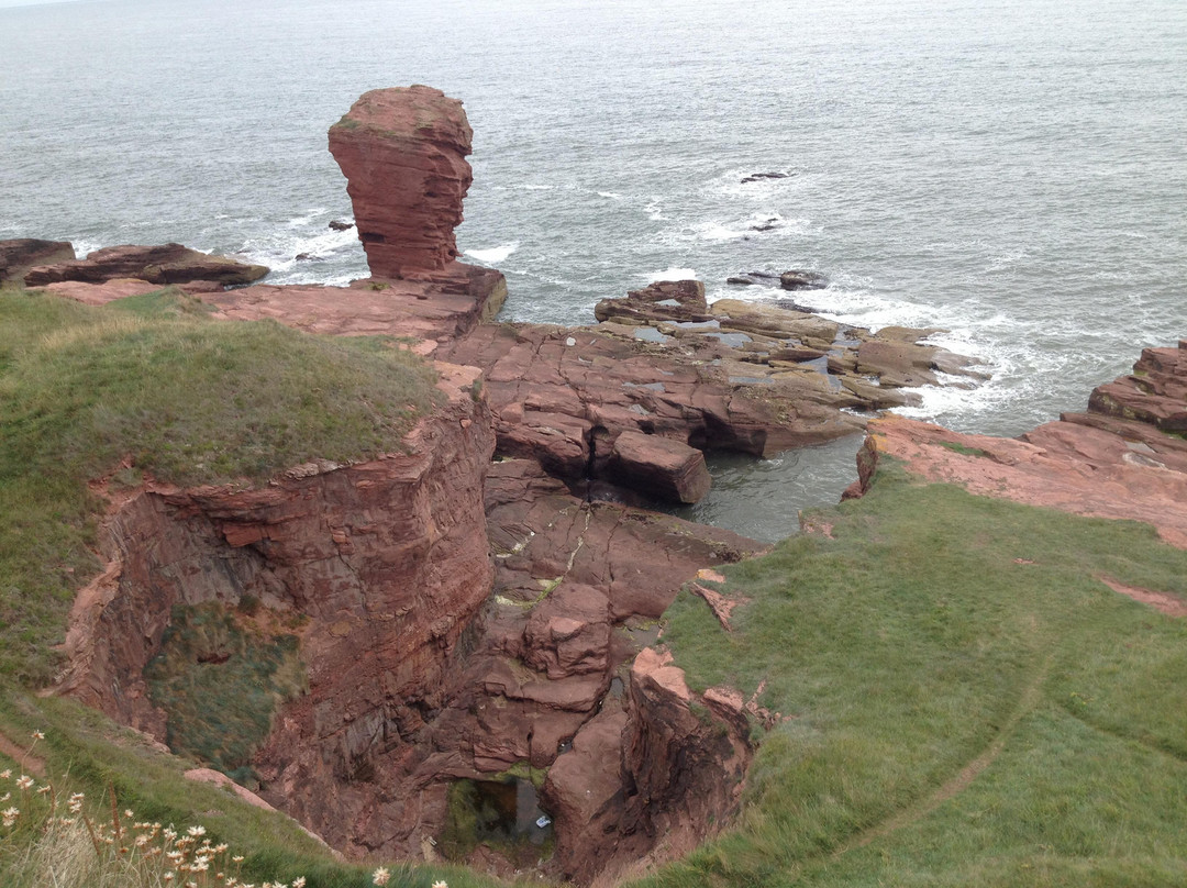 Arbroath to Auchmithie Coastal Path景点图片