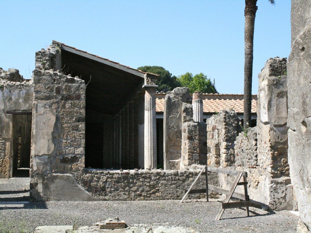 LivTours Pompeii-庞贝必去景点