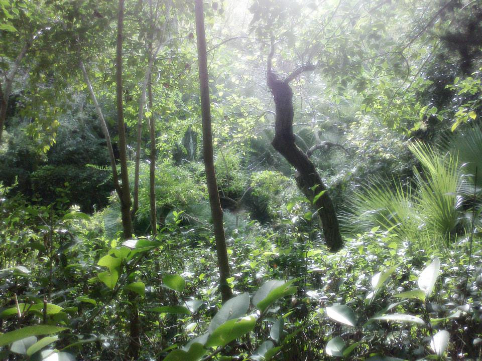 Parco Giardino dei Ligustri - Giardino Pittoresco-Loreto Aprutino必去景点